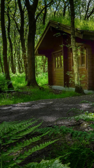 Woodland Lodges | Lodges With Hot Tubs In Yorkshire